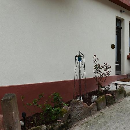 Le Gite Des Sources: Nature, Randonnees, Detente. Oberbronn Exterior foto