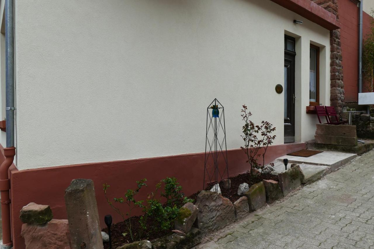 Le Gite Des Sources: Nature, Randonnees, Detente. Oberbronn Exterior foto