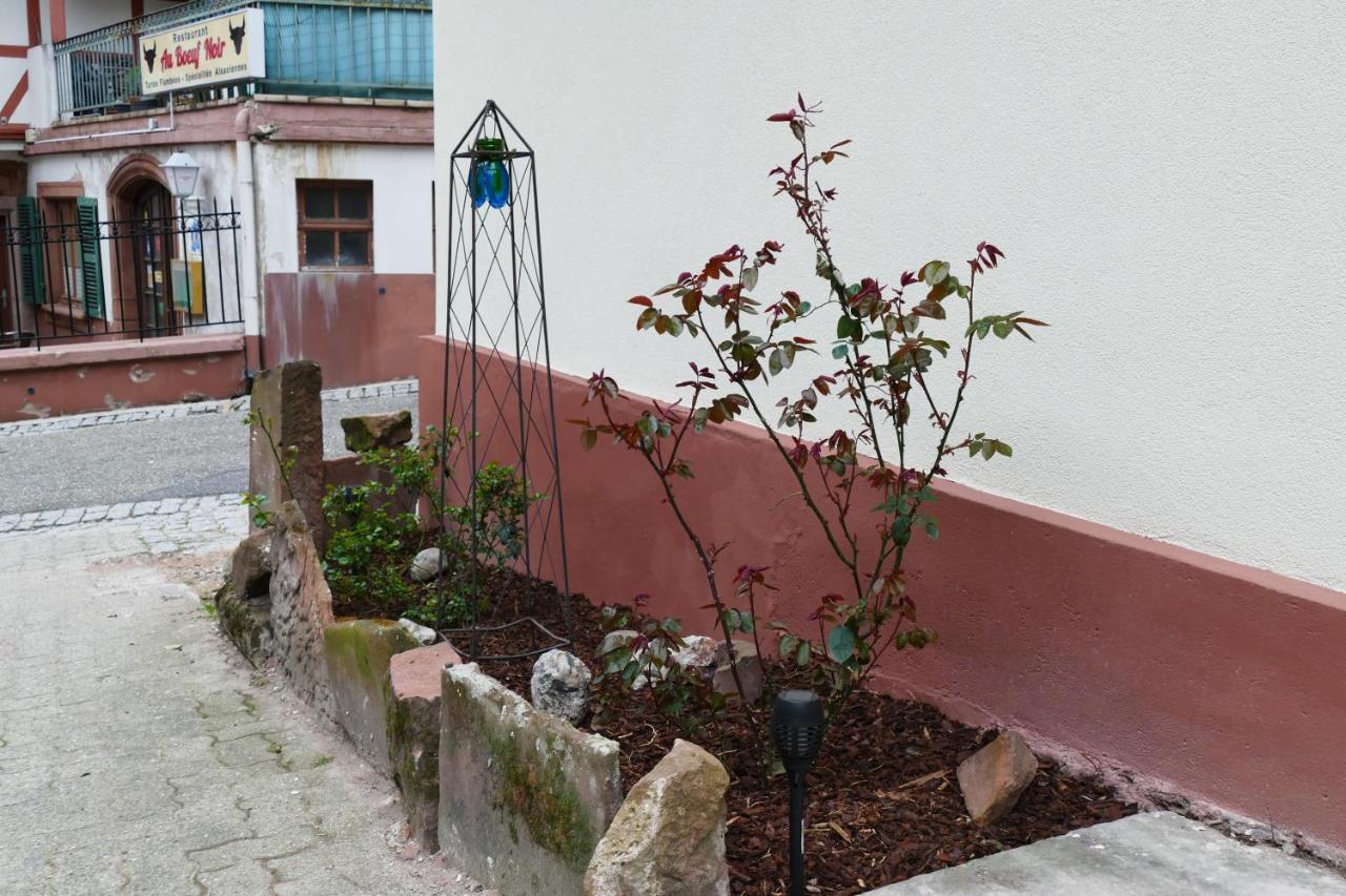 Le Gite Des Sources: Nature, Randonnees, Detente. Oberbronn Exterior foto